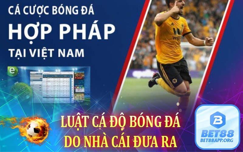 Luật cá độ bóng đá do nhà cái đưa ra